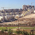 צילום: לע"מ