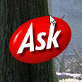 מאחורי גוגל. Ask.com