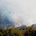 עשן מיתמר מהשריפה ביער חורשים