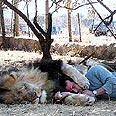 צילום: kevin richardson