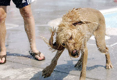 צילום: רויטרס צילום: רויטרס