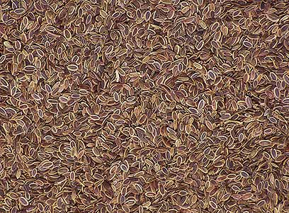 זרעי פשתן (צילום: ויז'ואל/פוטוס) (צילום: ויז'ואל/פוטוס)