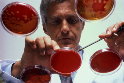 הרופא הבוחר אנטיביוטיקה מנחש מהו החיידק האחראי לזיהום (צילום: ויז'ואל/פוטוס) (צילום: ויז'ואל/פוטוס)