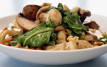 צילום: אורן שלו צילום: אורן שלו