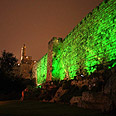 Combining Judaism with environmentalism  