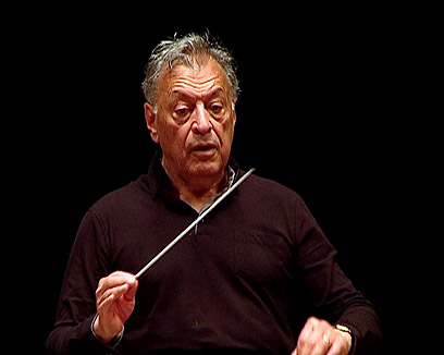 צילום: עוז מרון צילום: עוז מרון