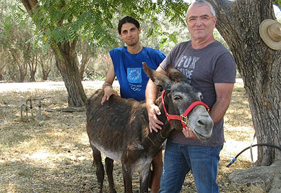 צילום: צביקה תמוז, פגסוס צילום: צביקה תמוז, פגסוס
