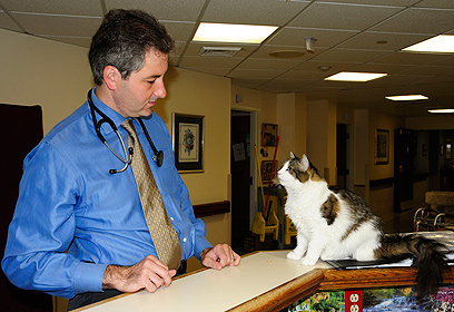 צילום: Dr. Joan Teno