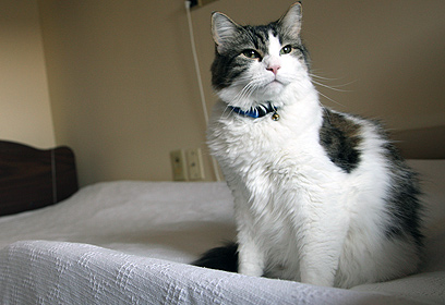 צילום: Dr. Joan Teno