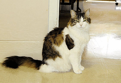 צילום: Dr. Joan Teno