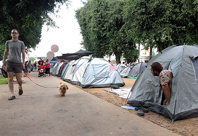 מחאת האוהלים בשדרות רוטשילד בשנה שעברה (צילום: עופר עמרם) (צילום: עופר עמרם)