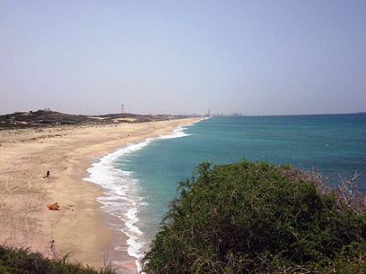 חוף פלמחים (צילום: אייל מטרני) (צילום: אייל מטרני)