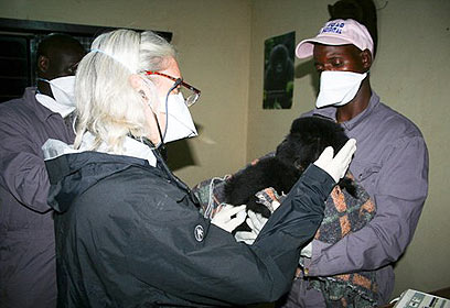 צילום: MGVP צילום: MGVP