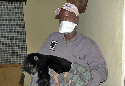 צילום: MGVP צילום: MGVP