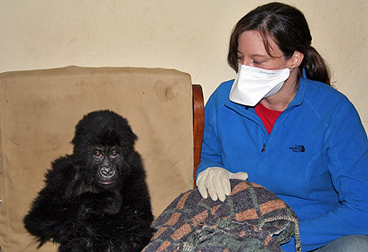 צילום: MGVP צילום: MGVP