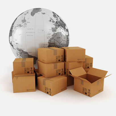 צילום: shutterstock צילום: shutterstock