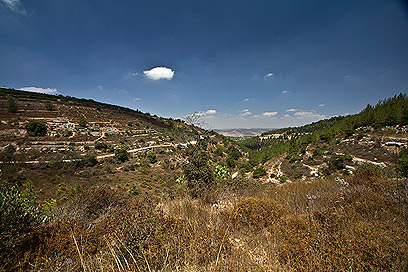 הנוף בגוש עציון (צילום: רון פלד) (צילום: רון פלד)