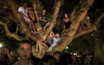 תל אביב. העץ הנדיב למפגינים (צילום: AFP) (צילום: AFP)