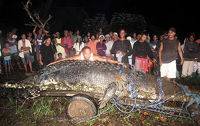 צילום: AP צילום: AP