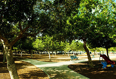 פארק ציבורי בקריית בן גוריון (צילום: ירון ברנר) (צילום: ירון ברנר)