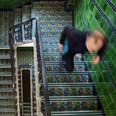 צילום: gettyimages imagebank