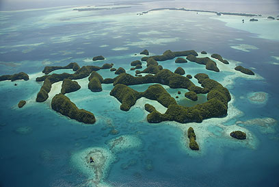 איים טרופיים באוקיאניה, סמוך לפלאו  (צילום: shutterstock) (צילום: shutterstock)