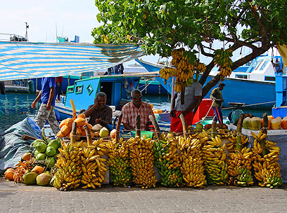 מוכרים בננות במאלה, בירת המלדיביים (צילום: shutterstock) (צילום: shutterstock)