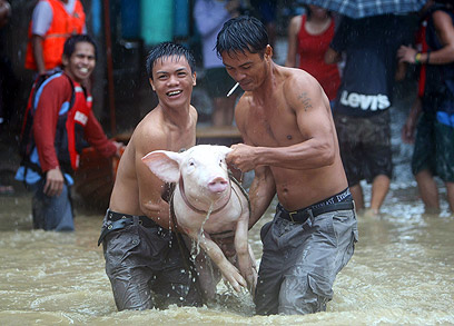 הרס רב ברחובות. תושבים מפנים חזיר למקום מבטחים בסמוך למנילה (צילום: EPA) (צילום: EPA)