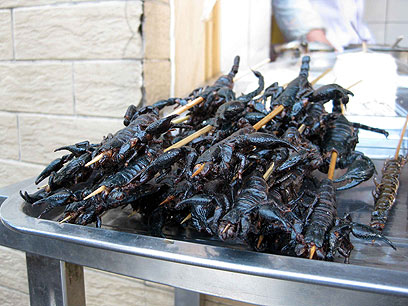 הסינים אוכלים הכל ואין להם גבול בנושא. עקרבים משופדים (צילום: יוסי טסטסה) (צילום: יוסי טסטסה)