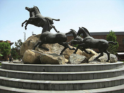 על הכיכר, בקרבת חיילי הטרקוטה, שועטים סוסים כדי לסמל את חדוות החופש (צילום: יוסי טסטסה) (צילום: יוסי טסטסה)