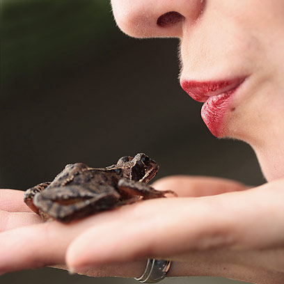 יום יבוא והצפרדע המגעילה הזאת תהפוך לנסיך חלומות (צילום: Shutterstock) (צילום: Shutterstock)