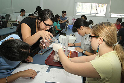 תלמידים בשיעור כימיה בתיכון. "צריך לעניין את הילדים" (צילום: עופר עמרם) (צילום: עופר עמרם)