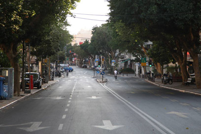 רחובות תל אביב (צילום: מוטי קמחי) (צילום: מוטי קמחי)