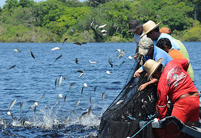 צילום: מישל בראונשטיין צילום: מישל בראונשטיין
