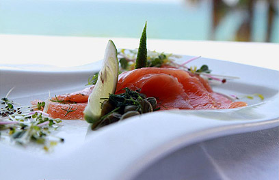 צילום: סטודיו דבש צילום: סטודיו דבש