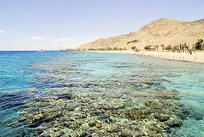 שמורת האלמוגים באילת (צילום: יוסי דוס-סנטוס) (צילום: יוסי דוס-סנטוס)