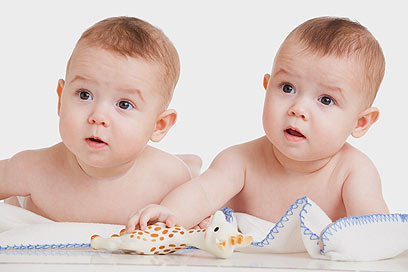 צילום: shutterstock צילום: shutterstock