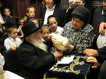 צילום: בועז בן ארי, אתר כיכר השבת צילום: בועז בן ארי, אתר כיכר השבת