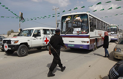 האוטובוסים שייקחו את האסירים לעזה כבר ברפיח (צילום: AFP) (צילום: AFP)