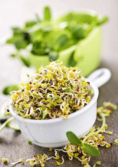 צילום: Shutterstock צילום: Shutterstock