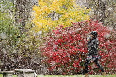 שלג וגשם בפנסילבניה, על רקע שלכת הסתיו (צילום: AP) (צילום: AP)