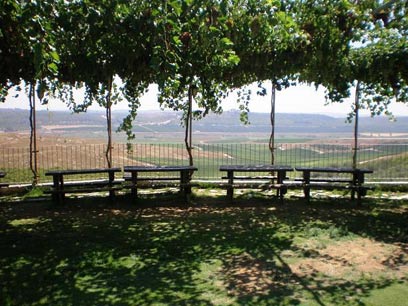בקרוב יהיה אזור היין הראשון בישראל. מטה יהודה, כפי שנשקף מיקב מוני (צילום: בועז לביא) (צילום: בועז לביא)