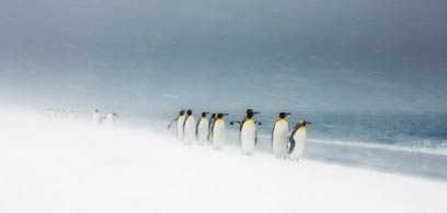 צילום: Ole Jørgen Liodden