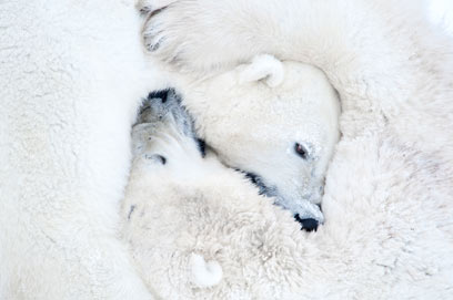 צילום: Daisy-Gilardini