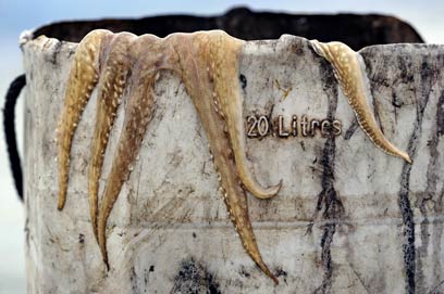 צילום: Agorastos Papatsanis