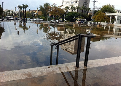 רחבת הכניסה לאוניברסיטת תל אביב (צילום: אביגיל לושי) (צילום: אביגיל לושי)