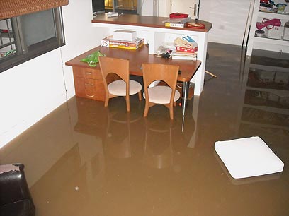 צילום: גלעד מורג צילום: גלעד מורג