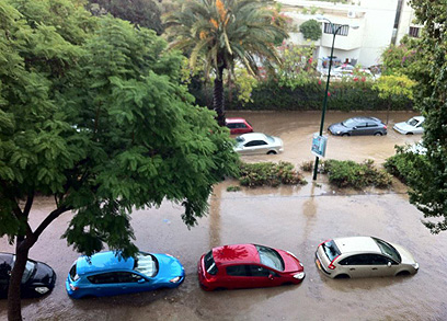 מכוניות במים. שכונת רמת אביב בתל-אביב ()