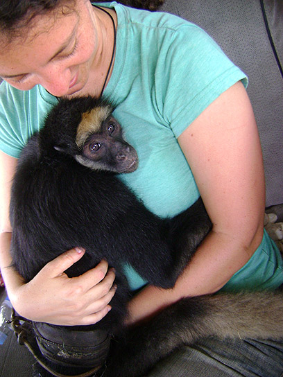 נגה שני עם הקוף מגלי, רגע לאחר החילוץ (צילום: Neotropical Primate Conservation) (צילום: Neotropical Primate Conservation)
