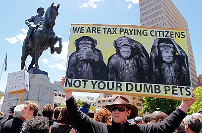 "אנחנו אזרחים שמשלמים מסים, לא חיות המחמד הטיפשות שלכם" (צילום: רויטרס) (צילום: רויטרס)